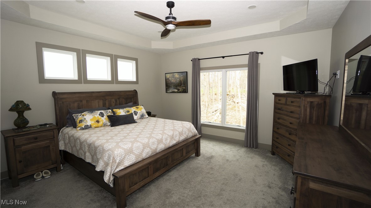 217 Ruby Lane, Streetsboro, Ohio image 22
