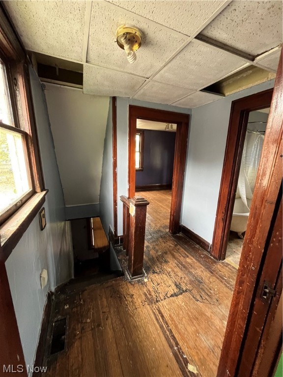 Oakland Land Companys Add - Residential