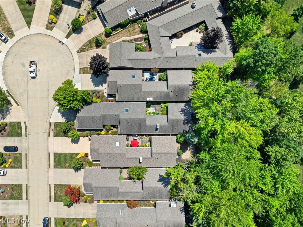 Olympia - Residential