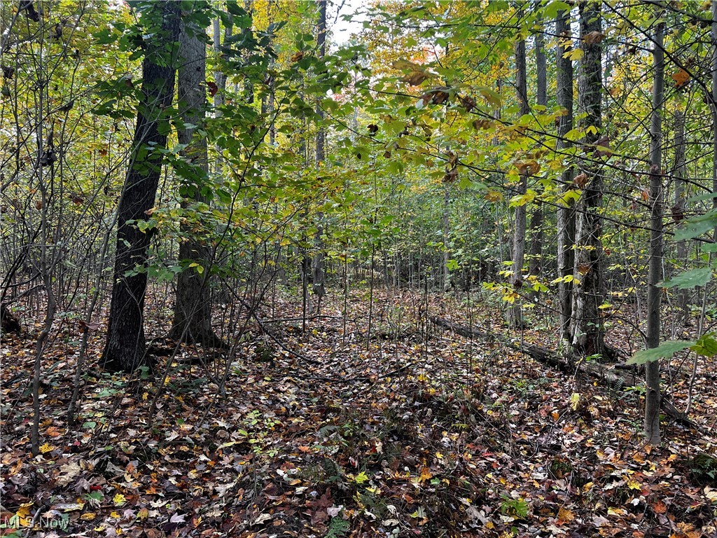 Topper Road, Jefferson, Ohio image 20