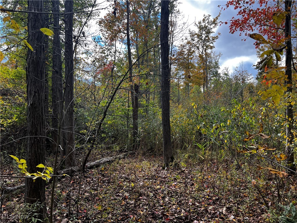 Topper Road, Jefferson, Ohio image 18