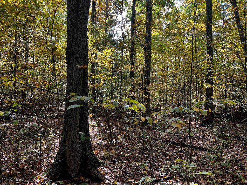 Topper Road, Jefferson, Ohio image 14