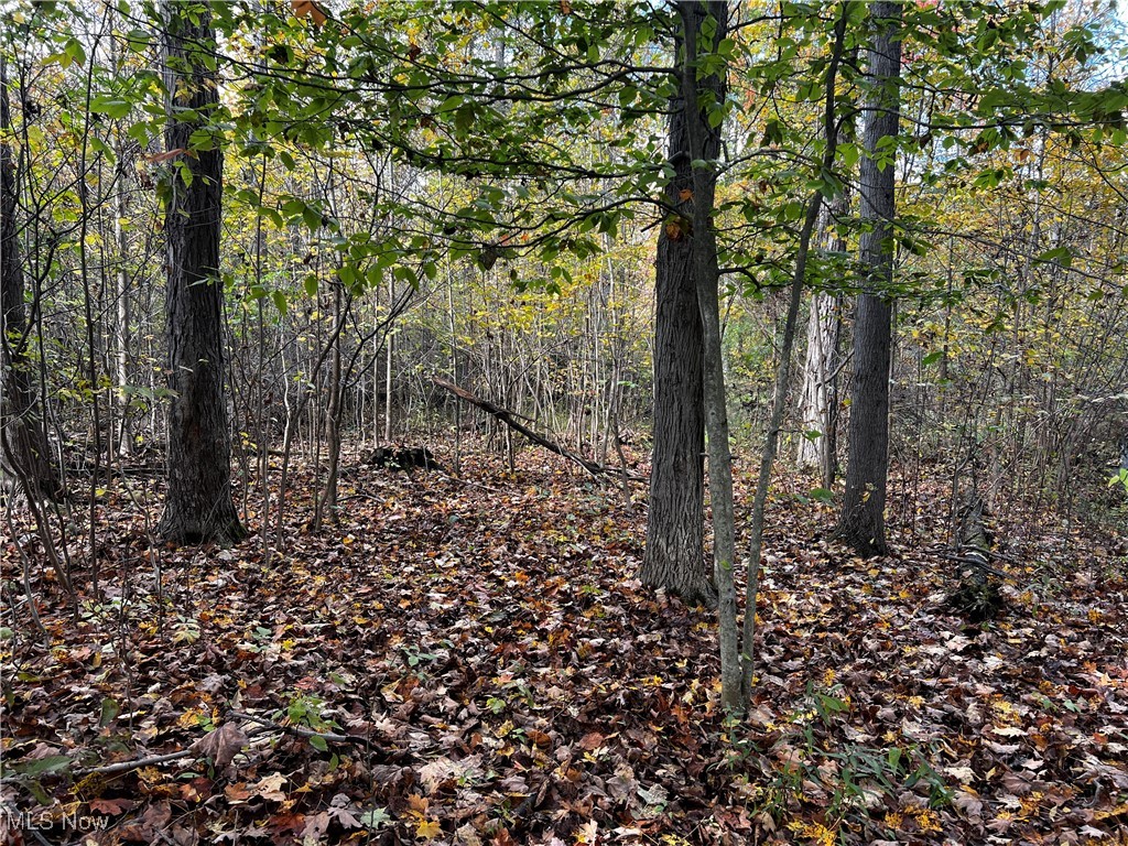 Topper Road, Jefferson, Ohio image 30