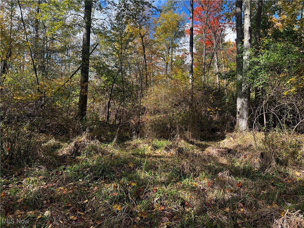 Topper Road, Jefferson, Ohio image 32