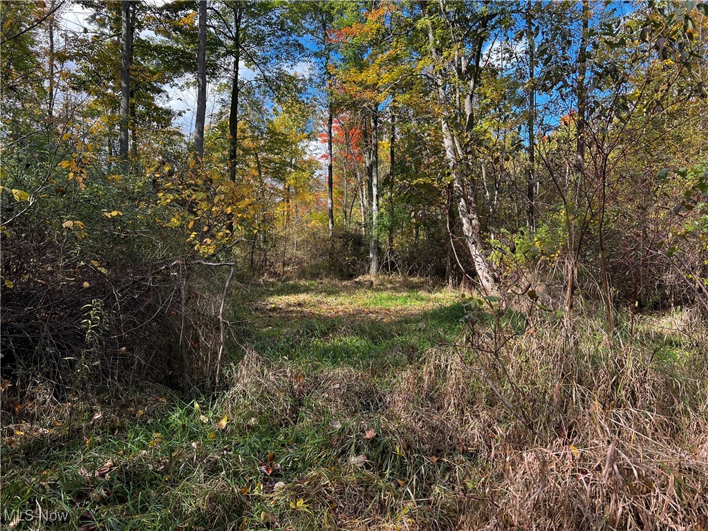 Topper Road, Jefferson, Ohio image 31