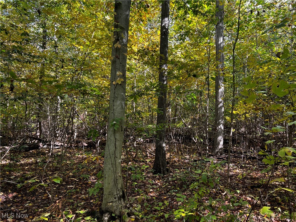 Topper Road, Jefferson, Ohio image 12