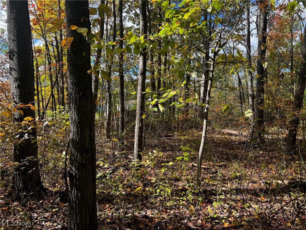 Topper Road, Jefferson, Ohio image 35