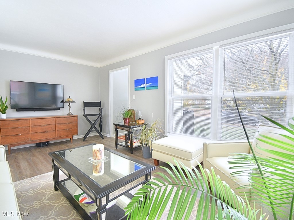 Terrace Park - Residential