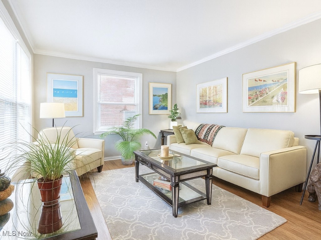 Terrace Park - Residential