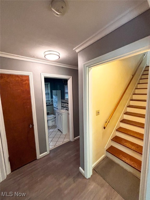 4941 Hopkins Road, Youngstown, Ohio image 2