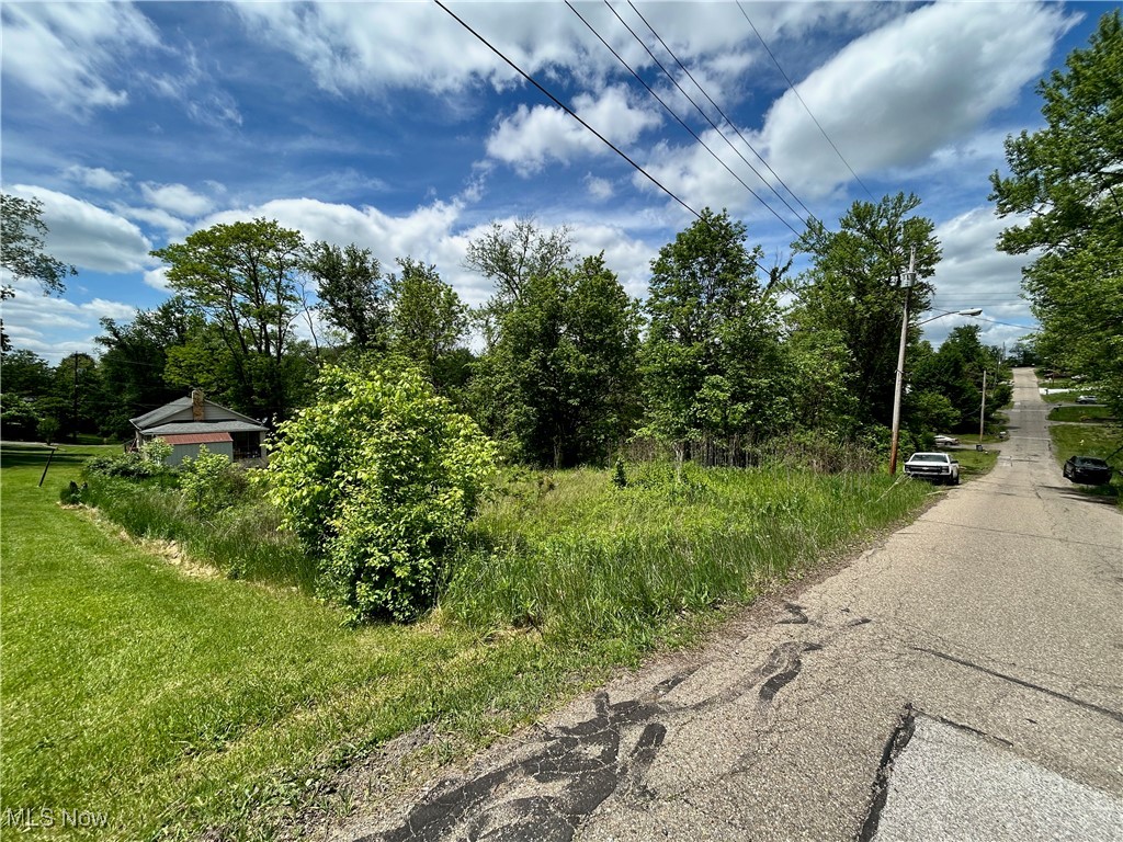 TBD Ellsworth Street, Wintersville, Ohio image 1