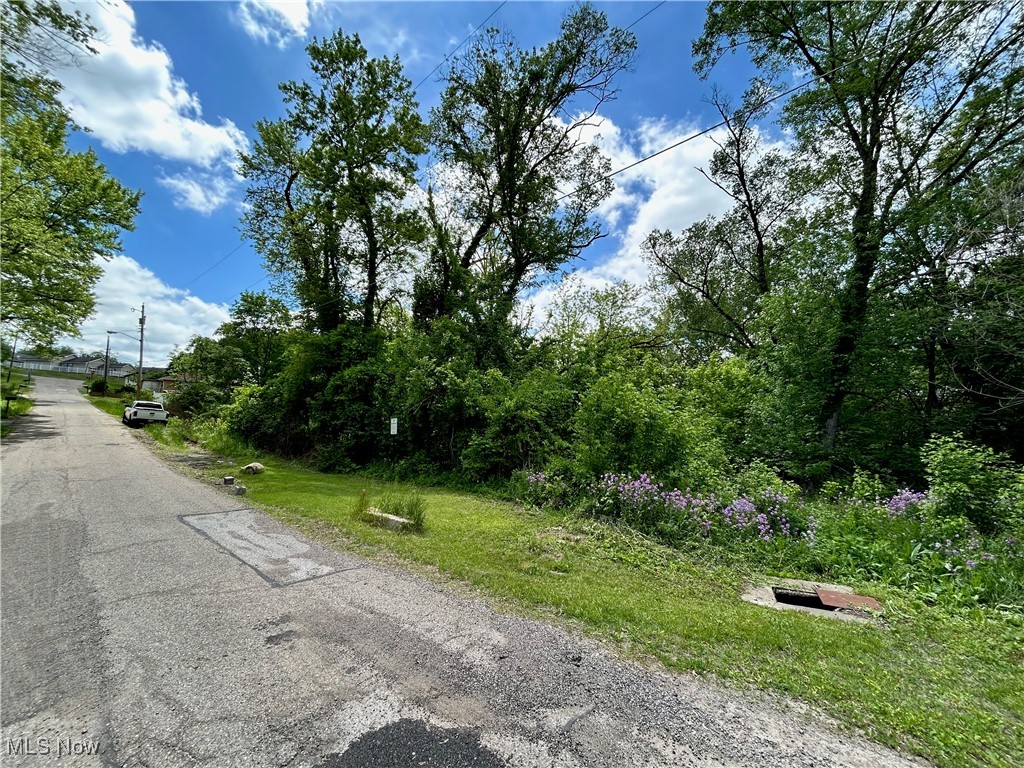 TBD Ellsworth Street, Wintersville, Ohio image 2