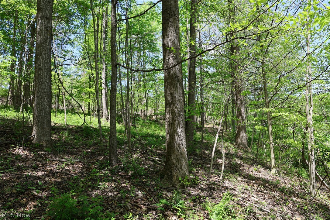 County Road 33