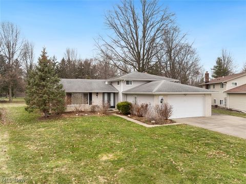Homes For Sale - 29696 Josephine Drive<br/> North Olmsted, OH 44070