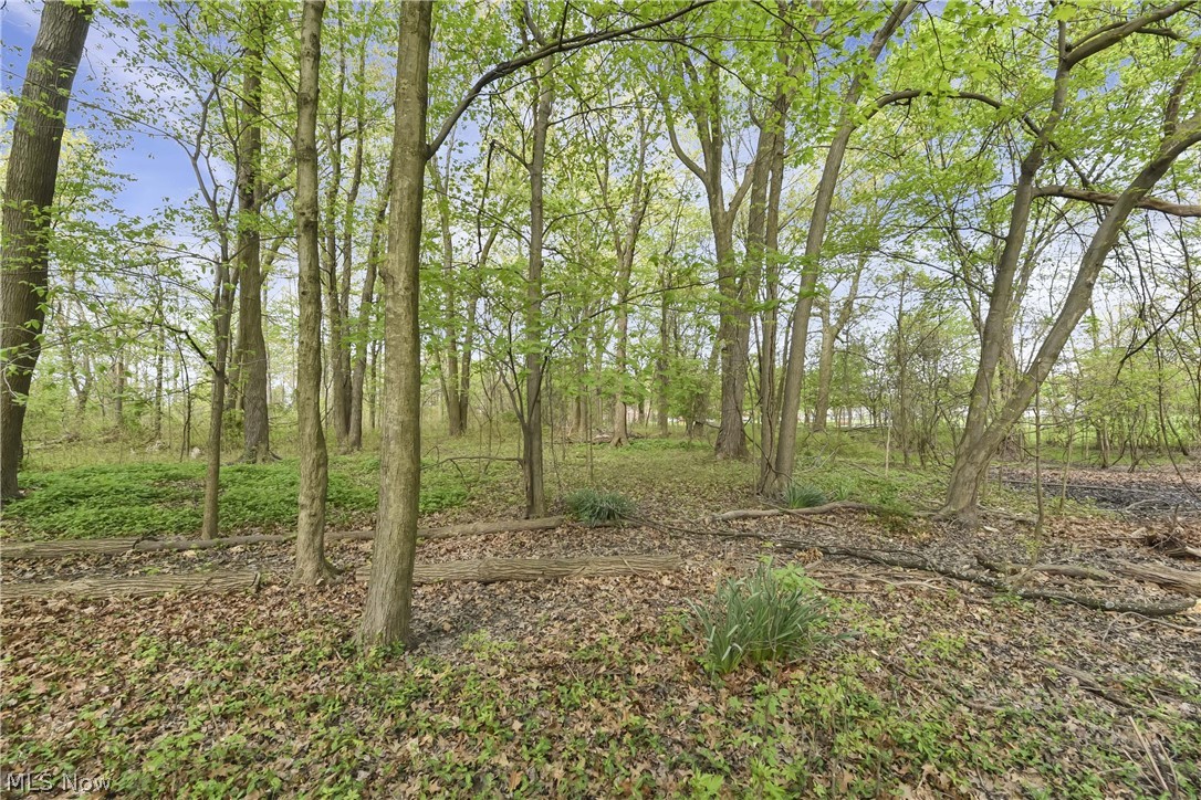 Brooklyn - Residential