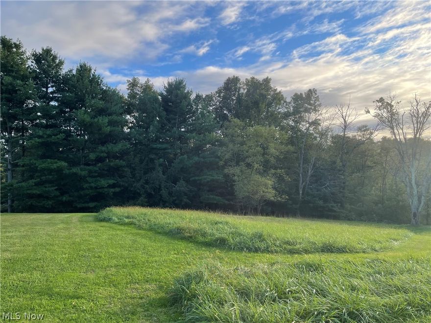 LAND FOR SALE!  Located off of Green Street in the Village of Woodsfield on Liberty Street; 
3 Parcels 1) 55x 127 2) 55 x 120 3) 67 x 127  = total of 8509 Square Feet = .507208 acres 
Lots do have access to Village Utilities and could be available ( Water, Sewer, and Electric)