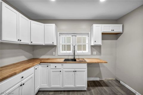 Tiny photo for 295 E 238th Street, Euclid, OH 44123 (MLS # 5178496)