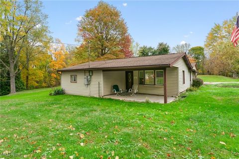 Photo of 365 Lyons Avenue, East Palestine, OH 44413 (MLS # 5166634)
