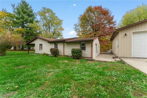 Tiny photo for 365 Lyons Avenue, East Palestine, OH 44413 (MLS # 5166634)