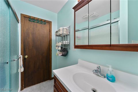Tiny photo for 365 Lyons Avenue, East Palestine, OH 44413 (MLS # 5166634)