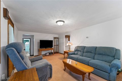 Tiny photo for 365 Lyons Avenue, East Palestine, OH 44413 (MLS # 5166634)