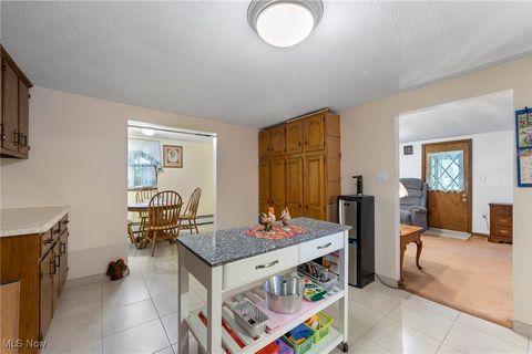 Tiny photo for 365 Lyons Avenue, East Palestine, OH 44413 (MLS # 5166634)