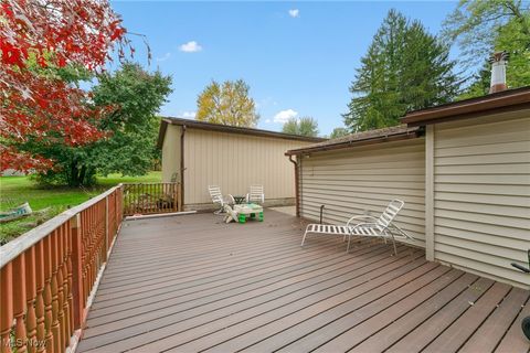 Tiny photo for 365 Lyons Avenue, East Palestine, OH 44413 (MLS # 5166634)