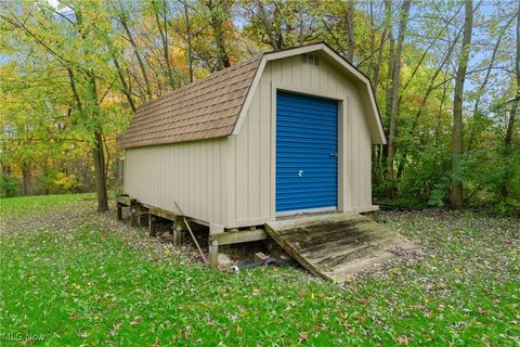 Tiny photo for 365 Lyons Avenue, East Palestine, OH 44413 (MLS # 5166634)