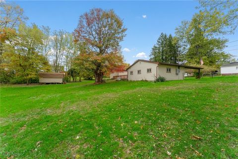 Tiny photo for 365 Lyons Avenue, East Palestine, OH 44413 (MLS # 5166634)
