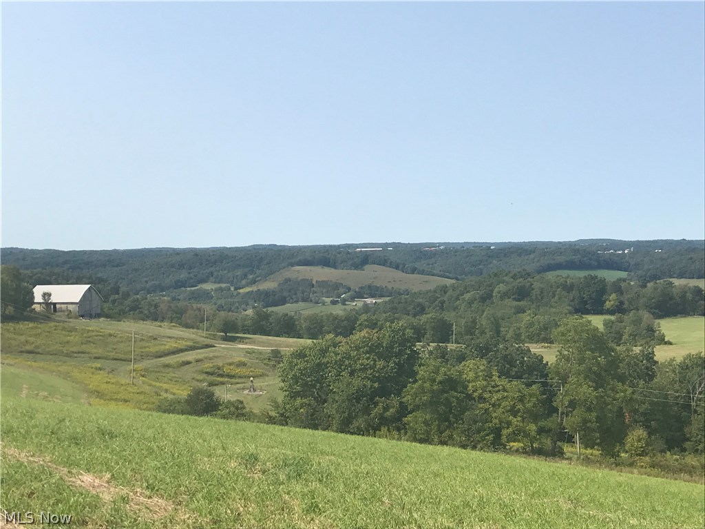 373 acre farm close to Killbuck in southern Holmes County. Mostly wooded which makes it excellent for hunting. A 70 acre field sits on top of the hill with a large bank barn. This property has some incredible views of the Killbuck Valley. This large tract of land is a rare find.