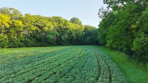 Tiny photo for 19530 W State Route 105, Elmore, OH 43416 (MLS # 5239649)