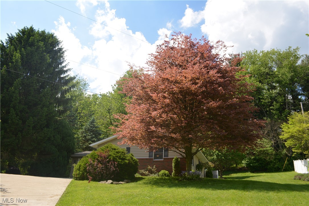 8524 Saint Peters Church Road, Bolivar, Ohio image 4