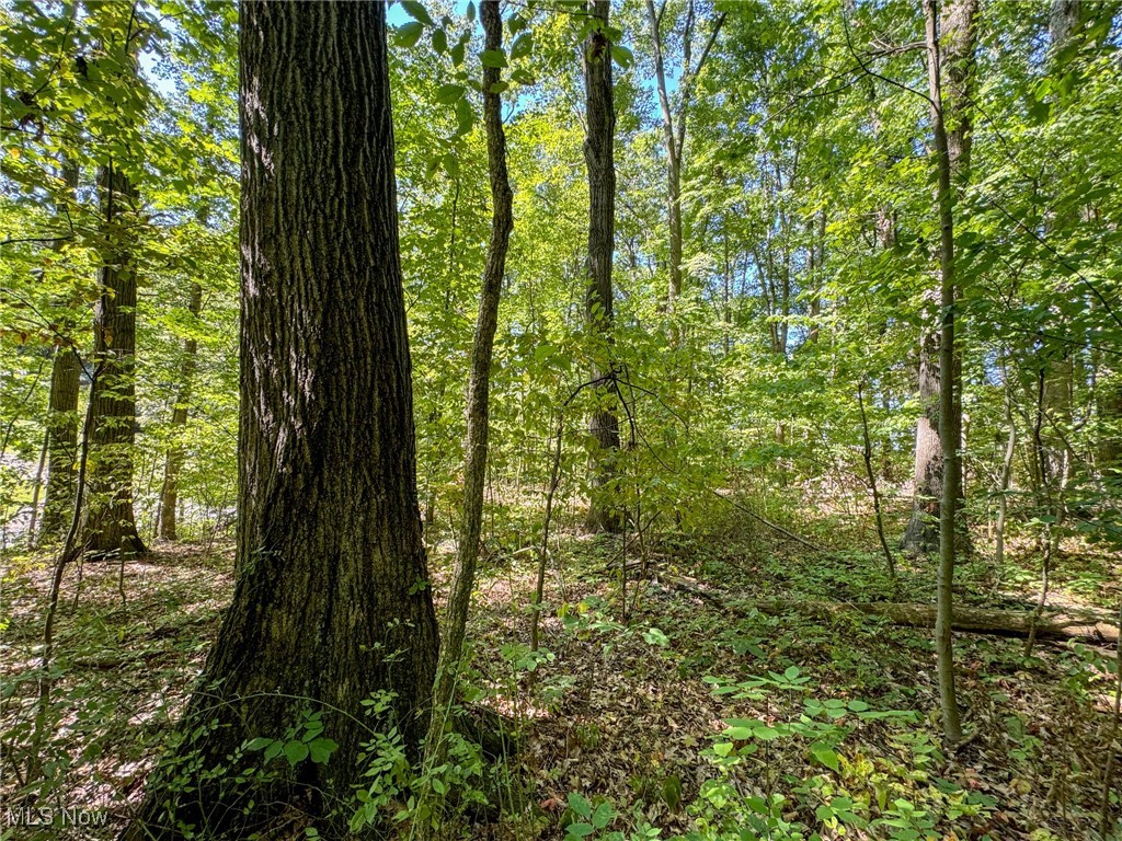 Township Road 162, Walnut Creek, Ohio image 8