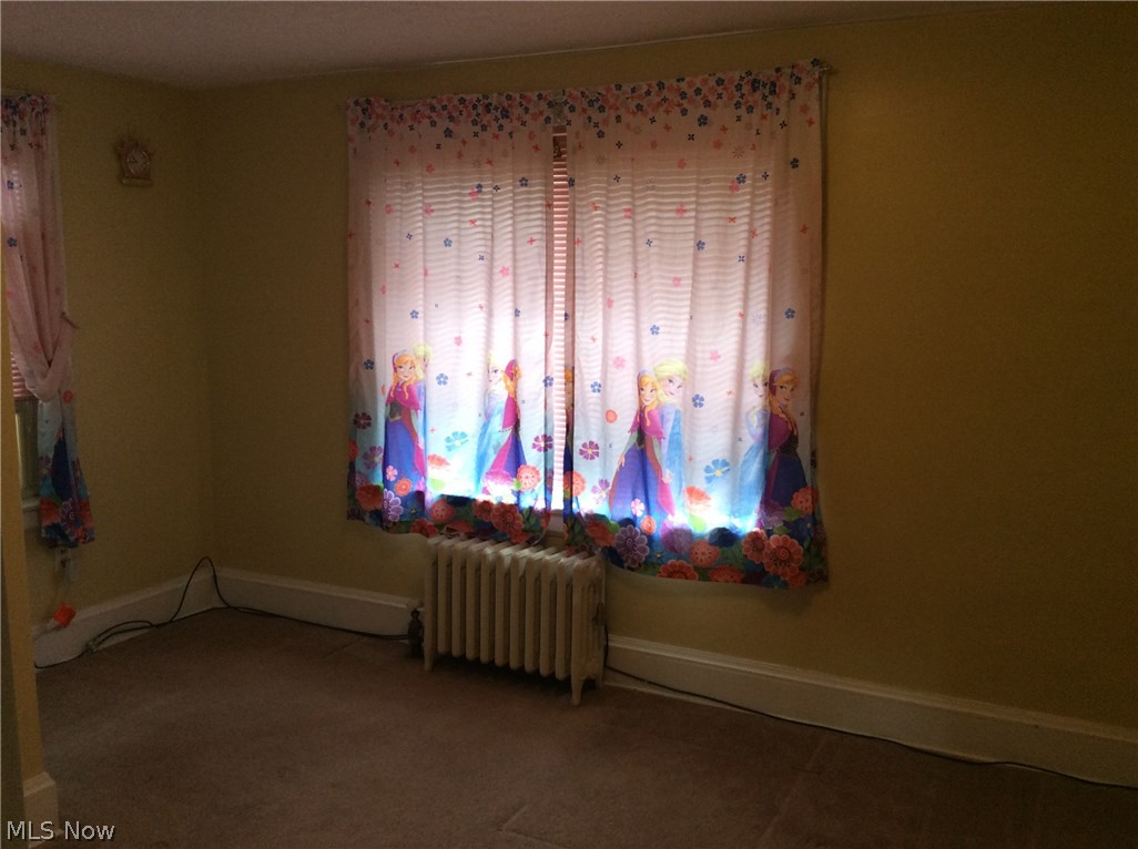 Carpenter - Residential