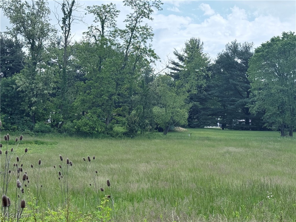 To be sold with 10554, 10570, and 10606 Cleveland Ave at public auction.
View aerial video here: https://youtu.be/VoJkI6lfrd4
Auction start date is June 25, 2025 and ends July 20, 2025 @ 5:30 p.m.
Prime Residential & Commercial Land for Auction | Uniontown, Stark County, OH Cleveland Ave NW & Wright Road NW – High-Traffic, High-Visibility Opportunity!
Seize the opportunity to invest in strategically located parcels at the bustling intersection of Cleveland Avenue NW and Wright Road NW in Uniontown, Ohio. With zoning flexibility, all public utilities available, and excellent visibility, these properties are ideal for both residential builders and commercial developers.
Whether you're planning to build a neighborhood clinic, a retail storefront, or single-family homes, this site checks all the boxes.
Location Advantages
Over 11,600 vehicles per day at this intersection!
Cleveland Ave NW: 10,400 VPD
Wright Road NW: 1,276 VPD
Newbury Ave NW: 2,068 VPD
Surrounded by existing neighborhoods, businesses, and arterial access points
Close to shopping, schools, and major highways