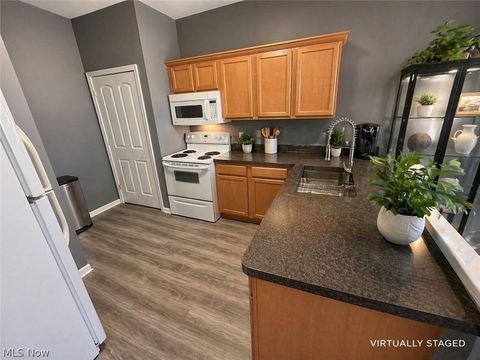 Tiny photo for 30056 Euclid Avenue #14, Wickliffe, OH 44092 (MLS # 5203348)