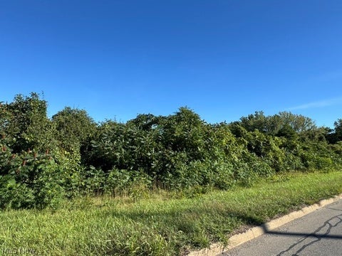 Vacant Land For Sale - 3519 N Ridge Road<br/> Ashtabula, OH 44004