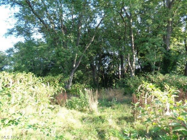J E Slabachs Allotment - Residential