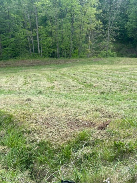 Vacant Land For Sale - County Line Road<br/> Saint Marys, WV 26170