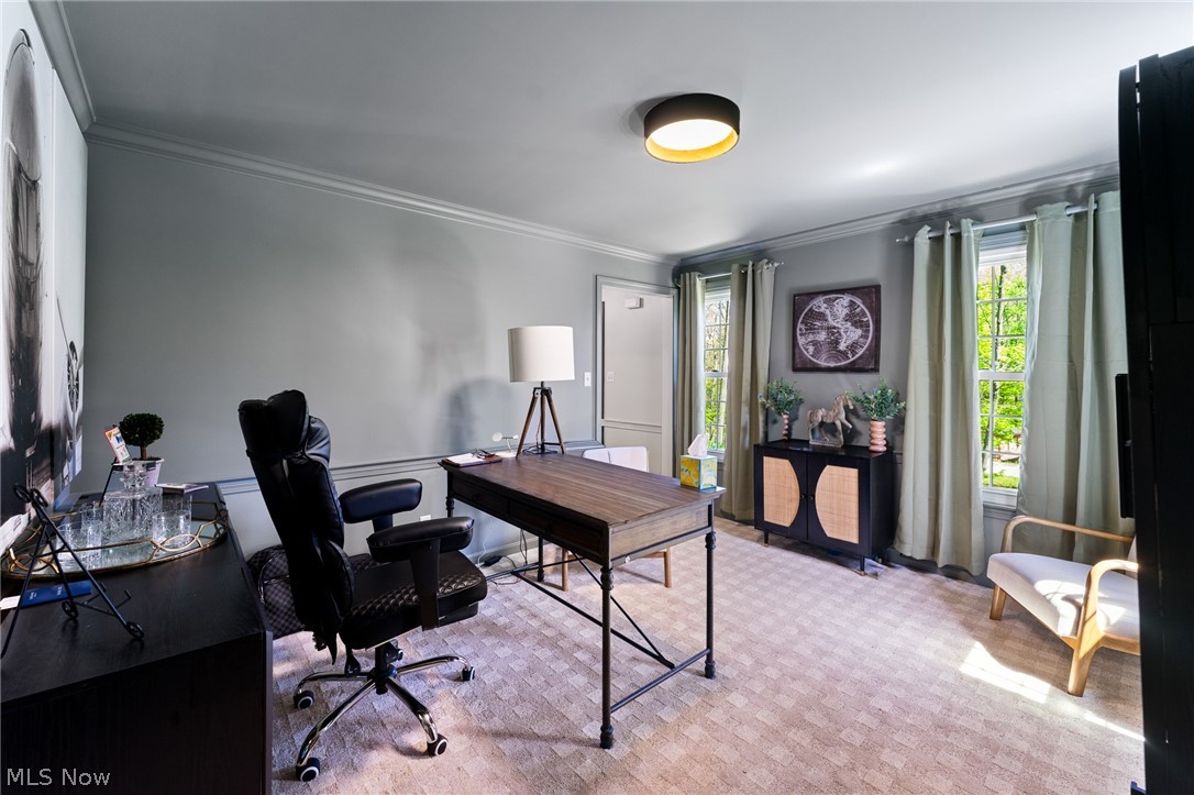 Blueberry Hill Drive - Residential