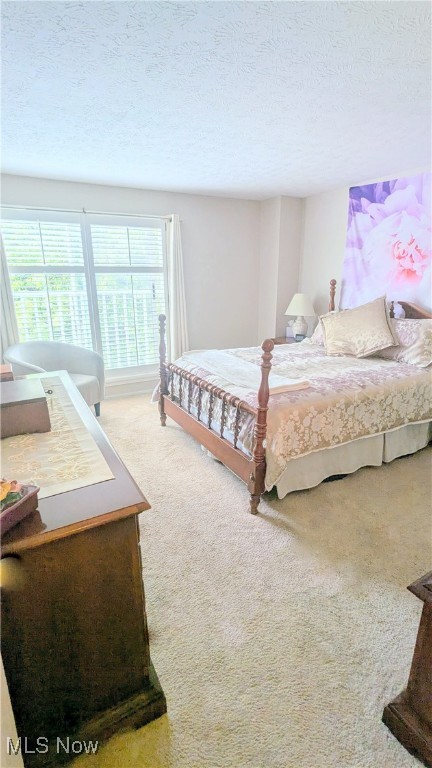 6478 State Road #G8, Parma, Ohio image 19