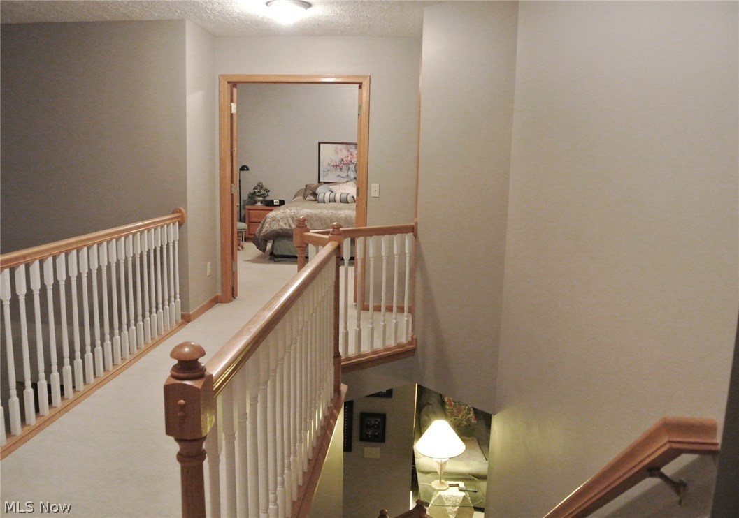 Dover Heights - Residential