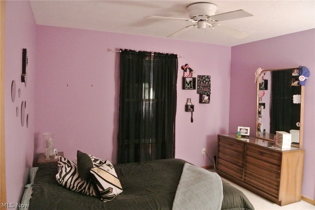 Dover Heights - Residential