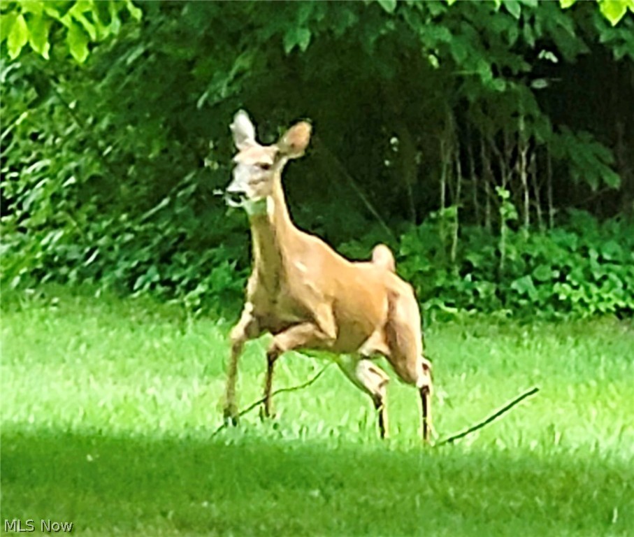 Stonebridge Allotment #3 - Residential