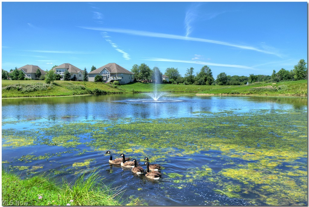 Royalton - Residential