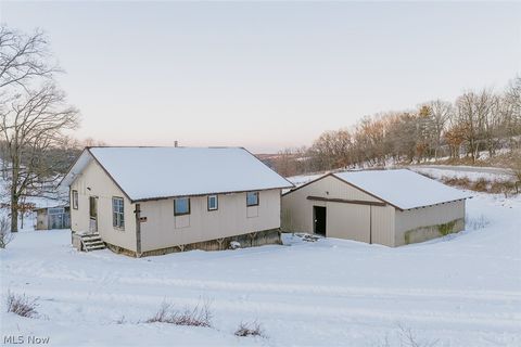 Vacant Land For Sale - 31705 Norris Road<br/> Harrison County, Tippecanoe, OH 44699