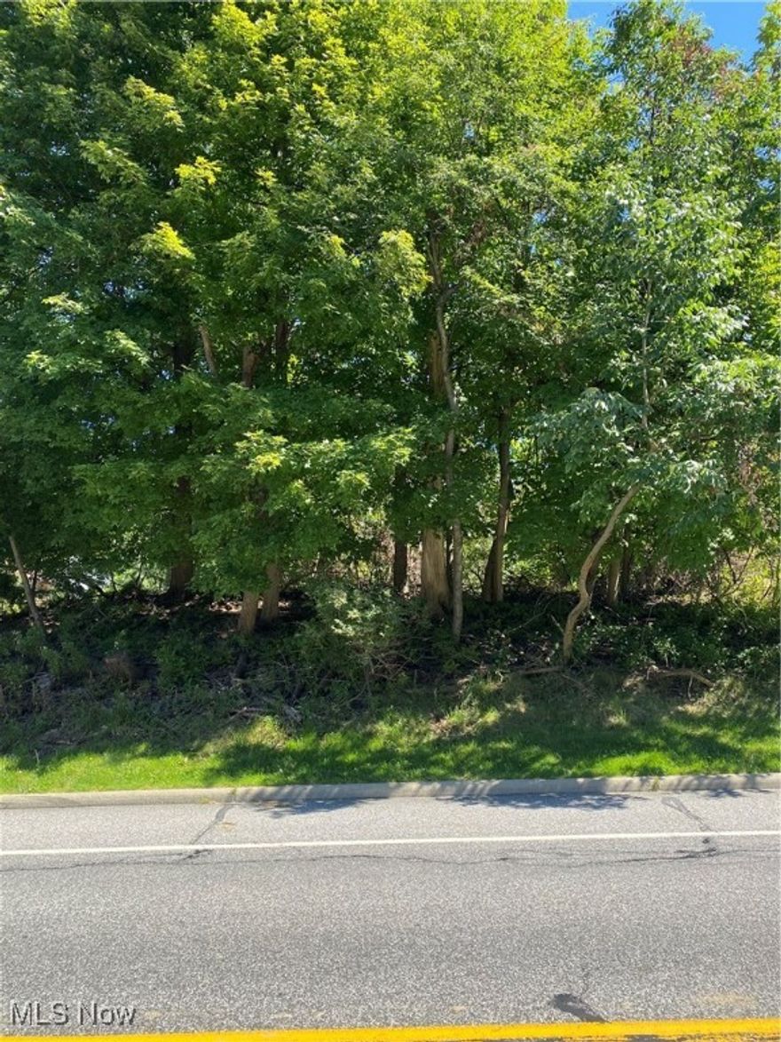 Large lot is directly across the street from the Broadview Heights expansive recreation fields. Baseball/soccer fields, tennis, pickle ball, disc golf, (2) playgrounds, pavilion, walking trails and much more!!!  Quick access to I-77 and RTA bus stop within close proximity.  Broadview Hts. boasts a recently built indoor recreation center and additional sports fields within a short walk. Sanitary sewer tap-in is marked and ready for your dream house so bring your builder or use ours! Brecksville-Broadview Hts schools. Property is zoned Single Family Residential.