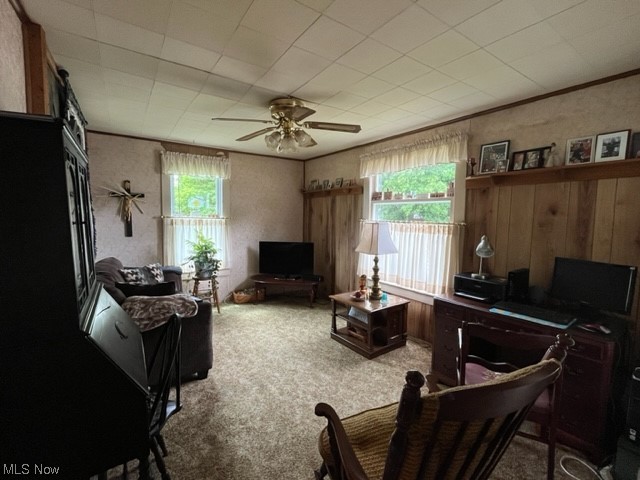 Toomeys Add - Residential