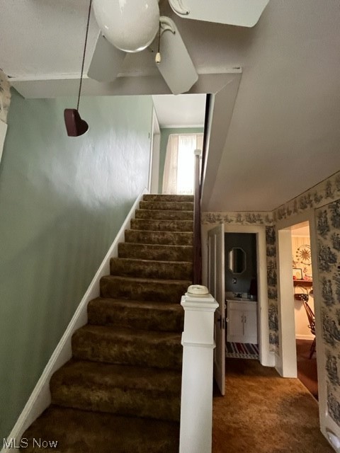 Toomeys Add - Residential