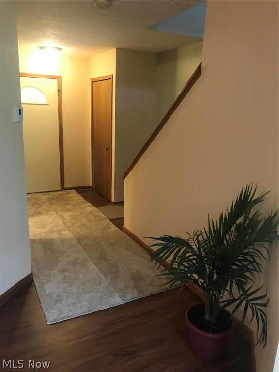 Springfield Commons - Residential